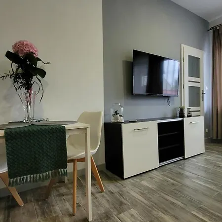 Daire Parkowe Nr 4 *